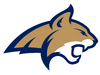 Oral Roberts Golden Eagles