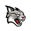 Davidson Wildcats