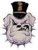 Citadel Bulldogs