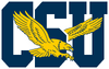 Coppin State Eagles