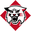 Davidson Wildcats