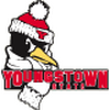 Youngstown State Penguins