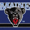 Maine Black Bears