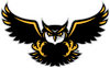 Kennesaw State Owls