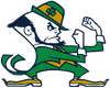 Notre Dame Fighting Irish